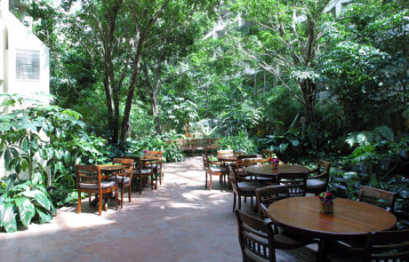 Retirement Home Architect- Maravilla- DDCA Architects