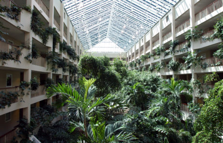 Retirement Community Layout Design- DDCA Architects