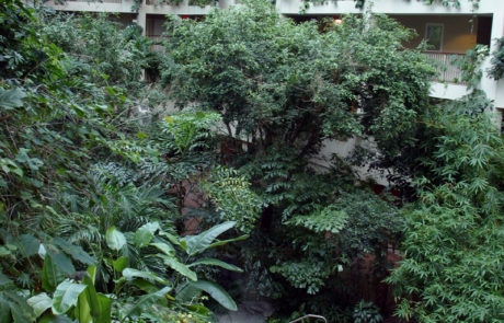 Luxury Retirement Community- Design Firm- DDCA Architects